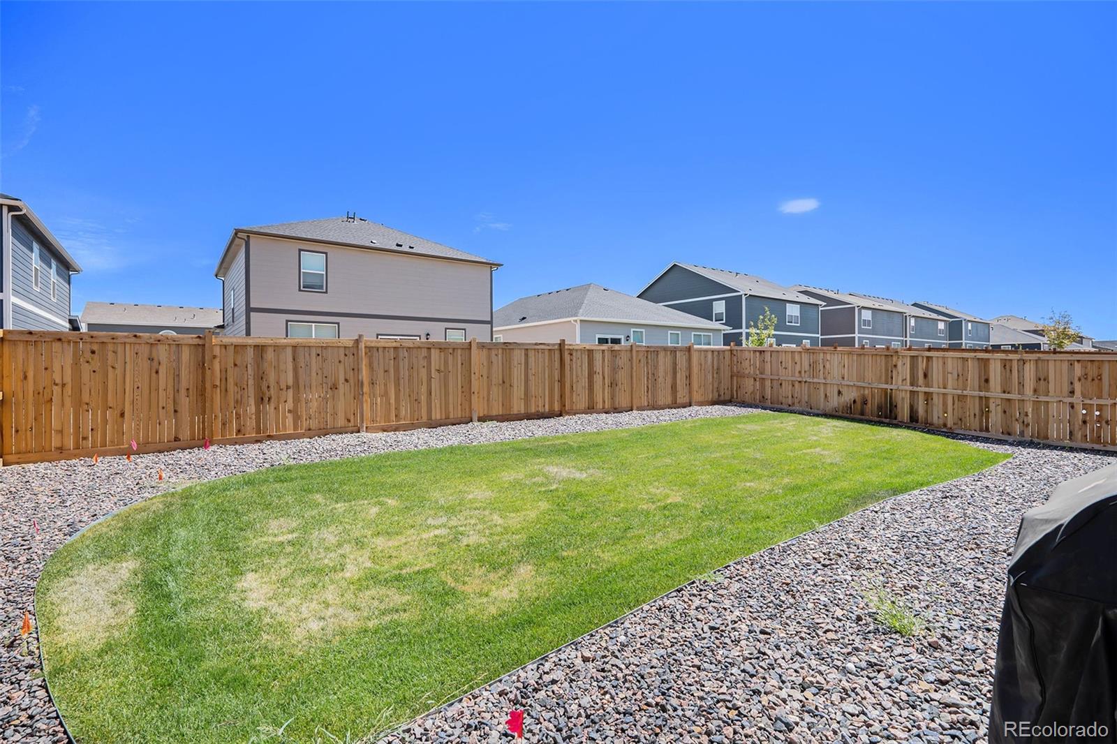 760 Allium Street, Watkins, CO 80137, 4 Bedrooms Bedrooms, ,3 BathroomsBathrooms,Residential,For Sale,Allium,REC1732300