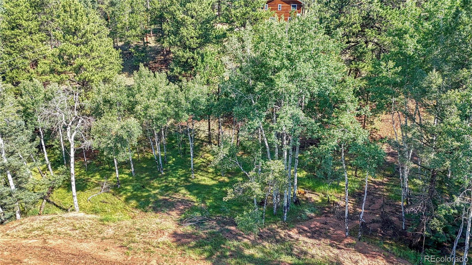 91 Antelope Circle, Florissant, CO 80816, ,Land,For Sale,Antelope,REC4482135