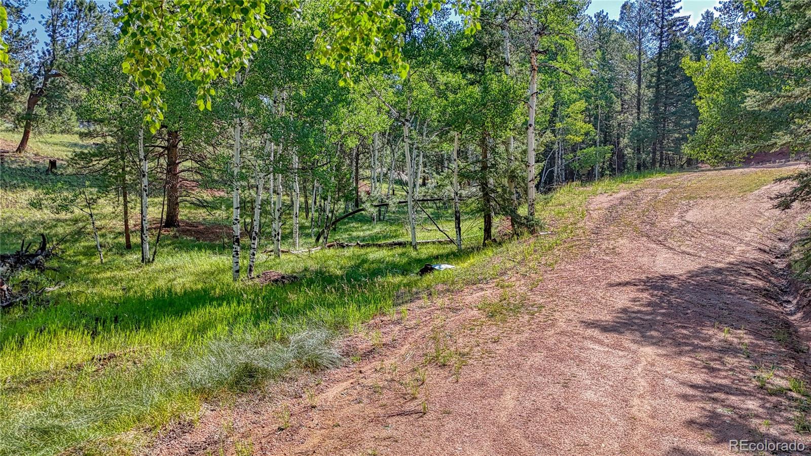 91 Antelope Circle, Florissant, CO 80816, ,Land,For Sale,Antelope,REC4482135