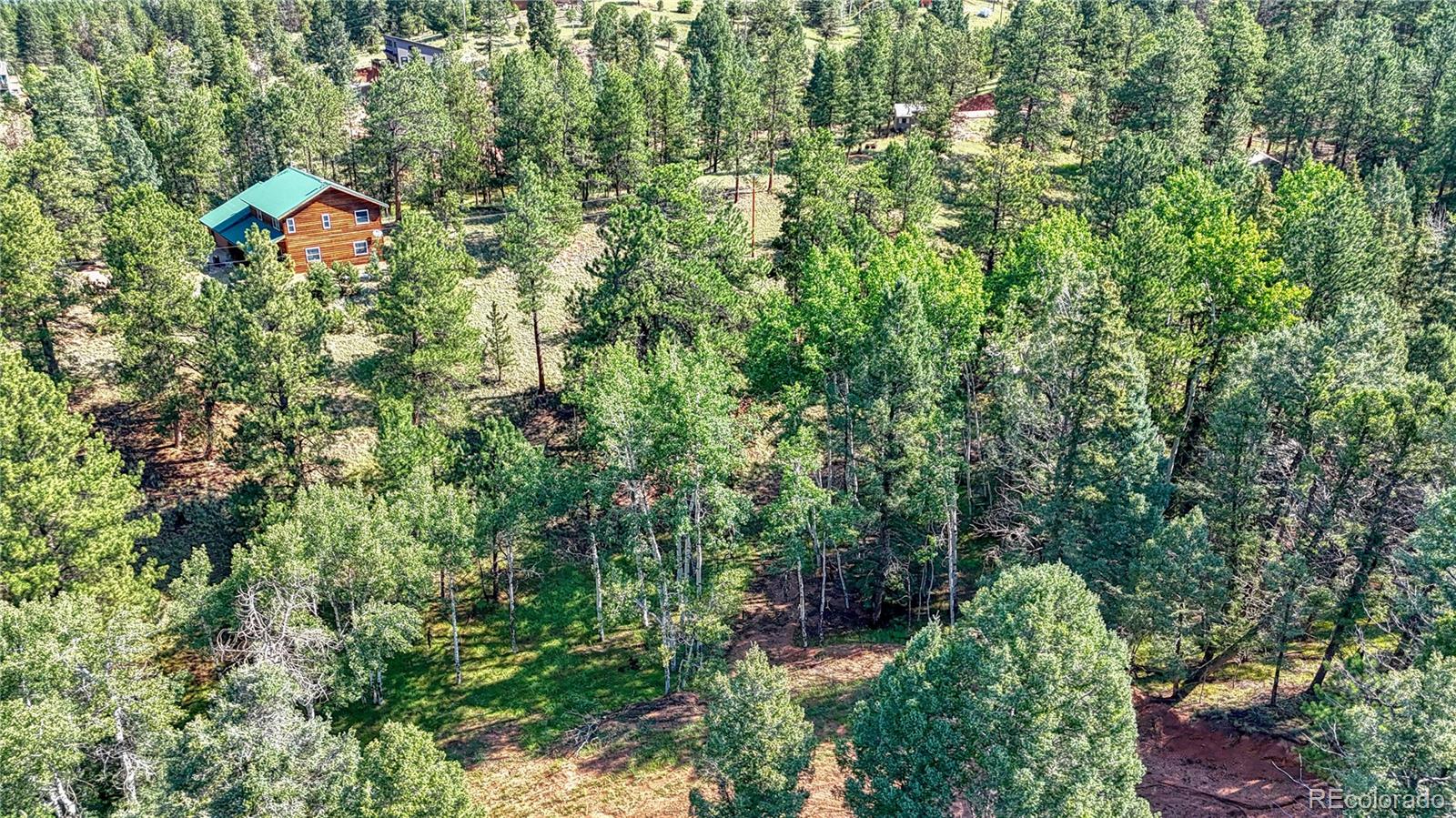 91 Antelope Circle, Florissant, CO 80816, ,Land,For Sale,Antelope,REC4482135