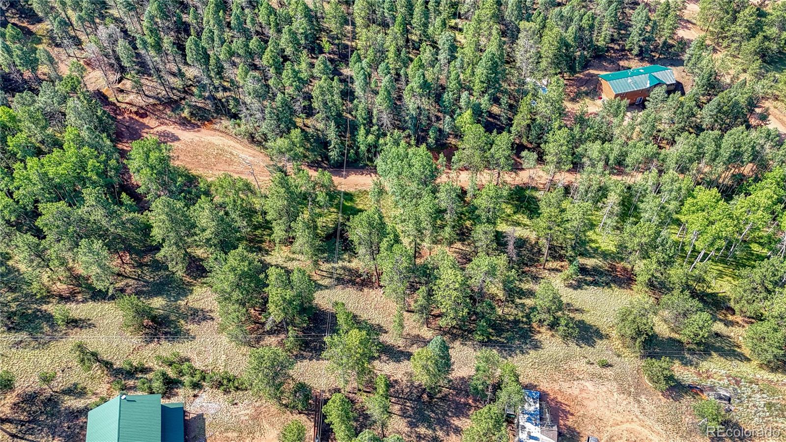 91 Antelope Circle, Florissant, CO 80816, ,Land,For Sale,Antelope,REC4482135