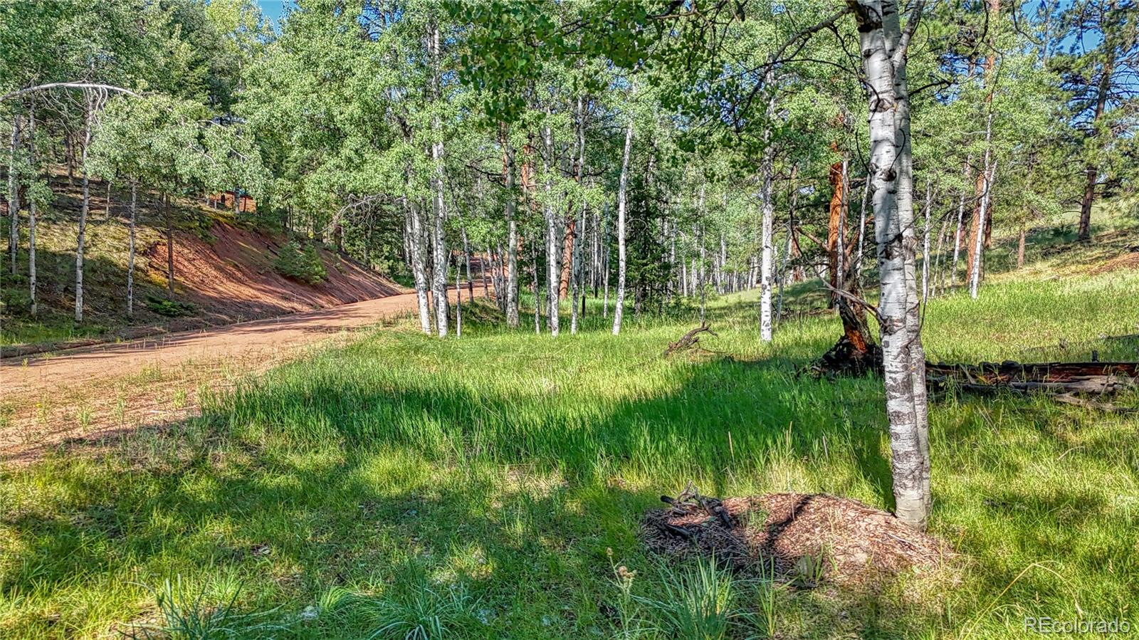91 Antelope Circle, Florissant, CO 80816, ,Land,For Sale,Antelope,REC4482135