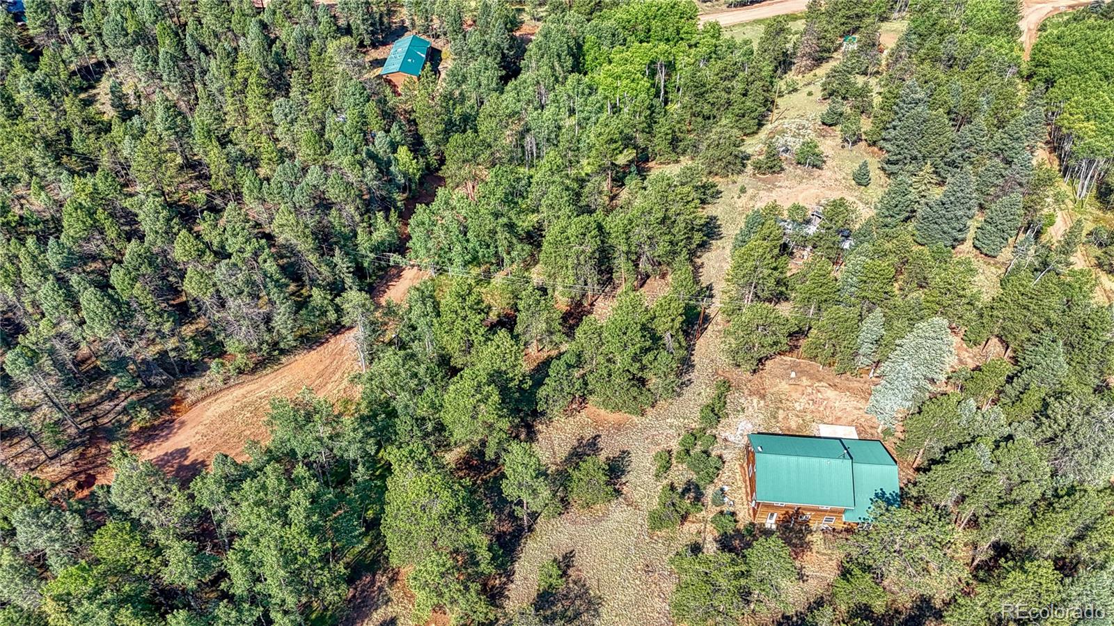 91 Antelope Circle, Florissant, CO 80816, ,Land,For Sale,Antelope,REC4482135