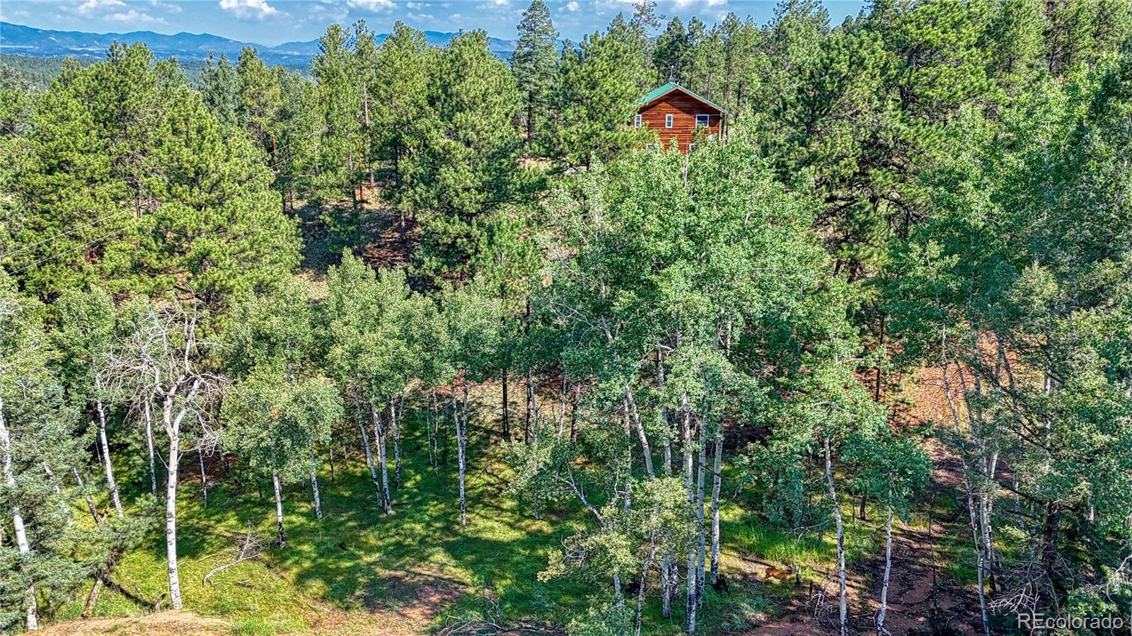 91 Antelope Circle, Florissant, CO 80816, ,Land,For Sale,Antelope,REC4482135