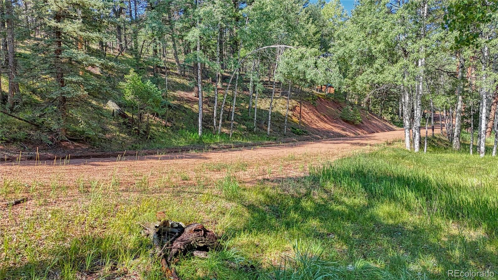 91 Antelope Circle, Florissant, CO 80816, ,Land,For Sale,Antelope,REC4482135