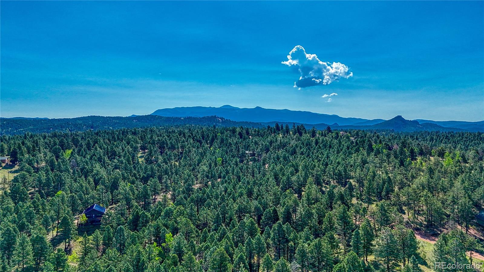 91 Antelope Circle, Florissant, CO 80816, ,Land,For Sale,Antelope,REC4482135