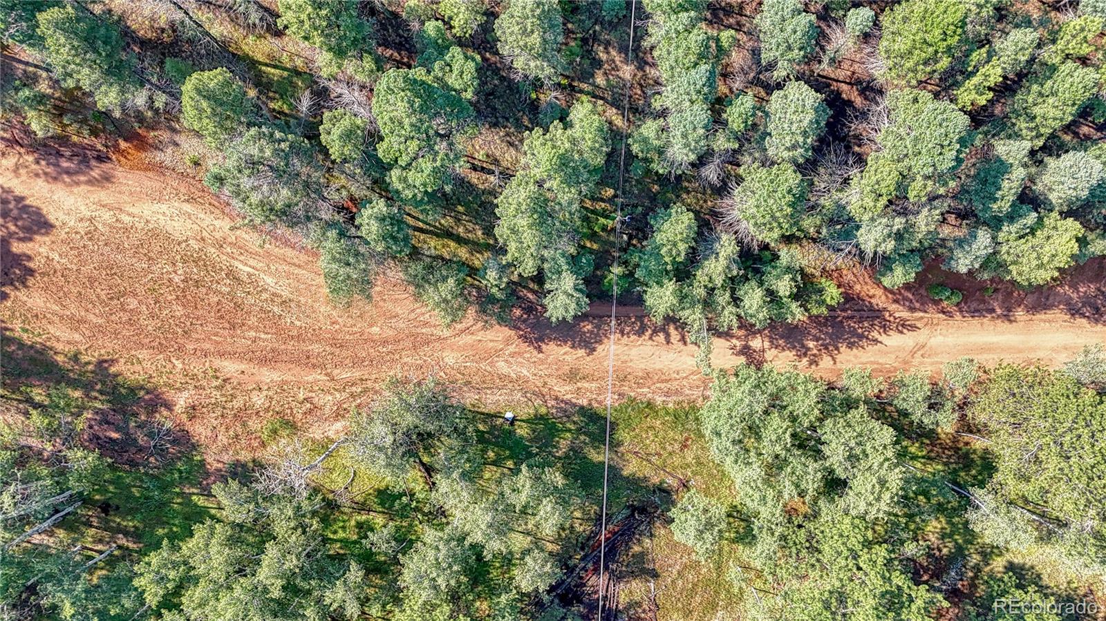 91 Antelope Circle, Florissant, CO 80816, ,Land,For Sale,Antelope,REC4482135