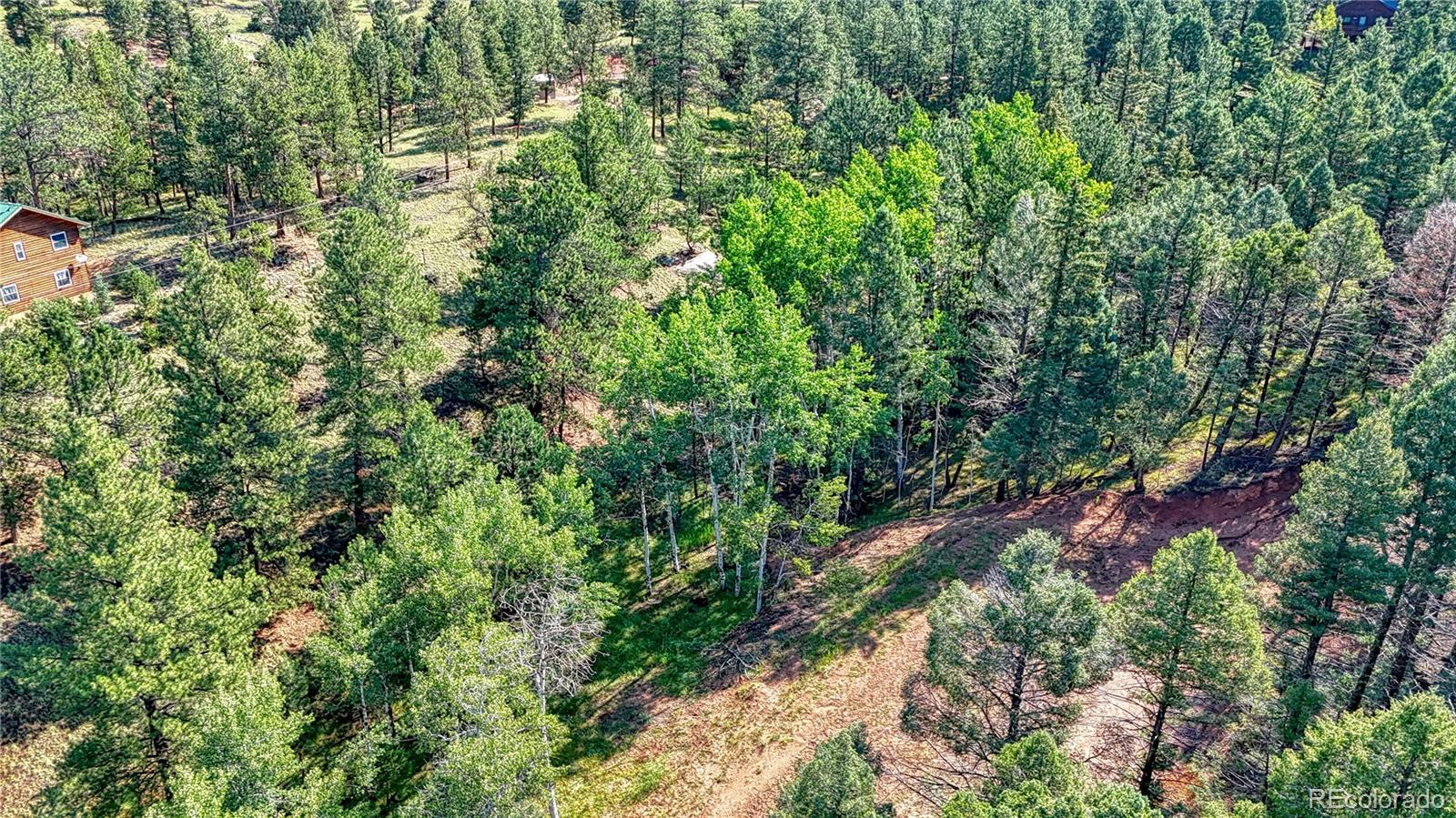 91 Antelope Circle, Florissant, CO 80816, ,Land,For Sale,Antelope,REC4482135