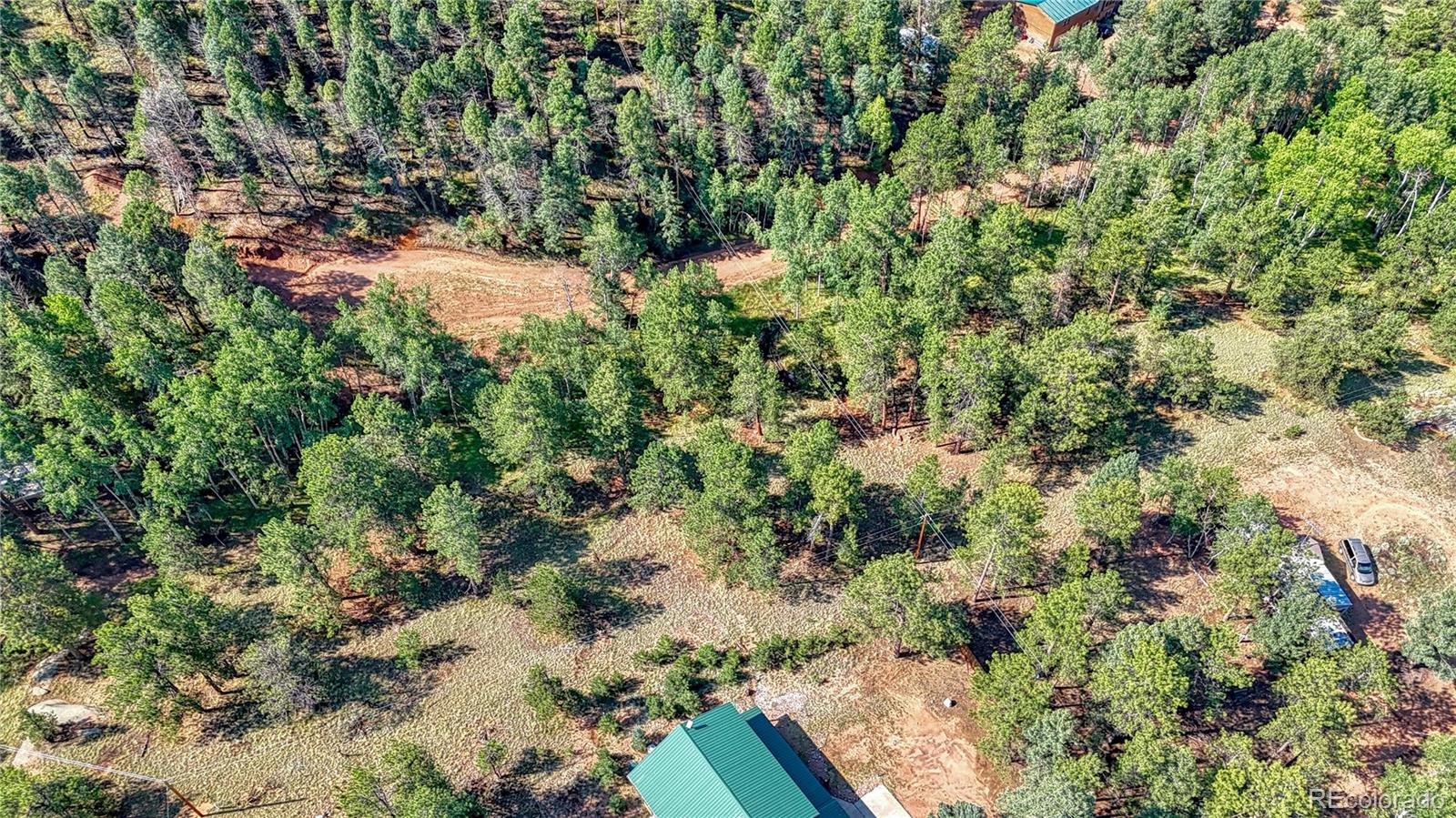 91 Antelope Circle, Florissant, CO 80816, ,Land,For Sale,Antelope,REC4482135