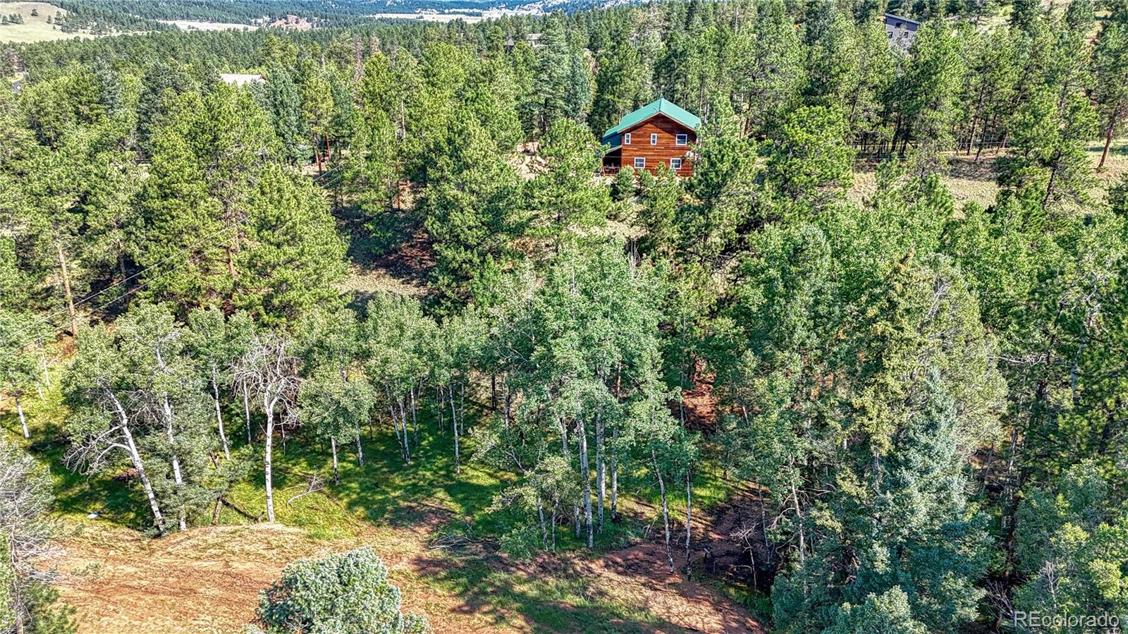 91 Antelope Circle, Florissant, CO 80816, ,Land,For Sale,Antelope,REC4482135