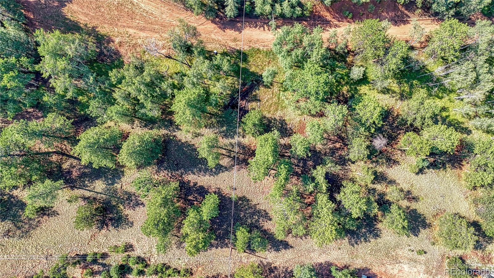 91 Antelope Circle, Florissant, CO 80816, ,Land,For Sale,Antelope,REC4482135