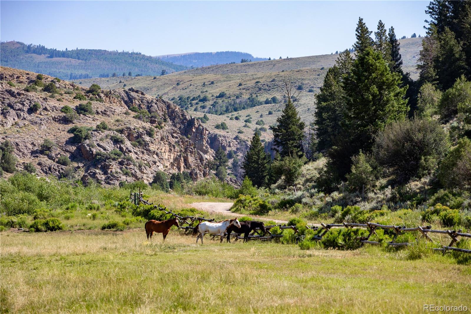 1211 County Road 213, Parshall, CO 80468, 7 Bedrooms Bedrooms, ,4 BathroomsBathrooms,Residential,For Sale,County Road 213,REC1679754