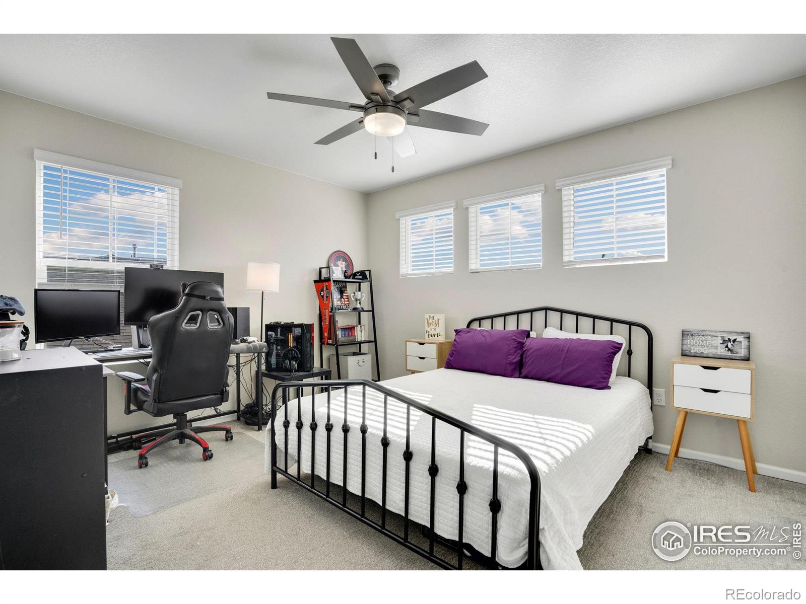 2975 Sand Beach Lake Drive, Loveland, CO 80538, 3 Bedrooms Bedrooms, ,3 BathroomsBathrooms,Residential,For Sale,Sand Beach Lake,RECIR1017653