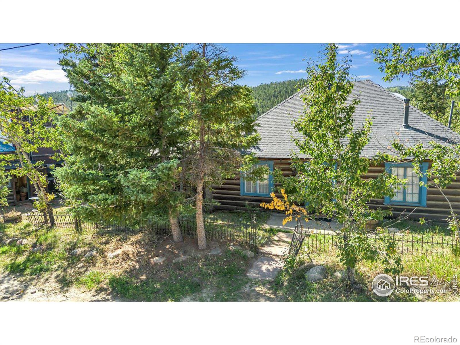 166 1st Street, Nederland, CO 80466, 3 Bedrooms Bedrooms, ,2 BathroomsBathrooms,Residential,For Sale,1st,RECIR1017765