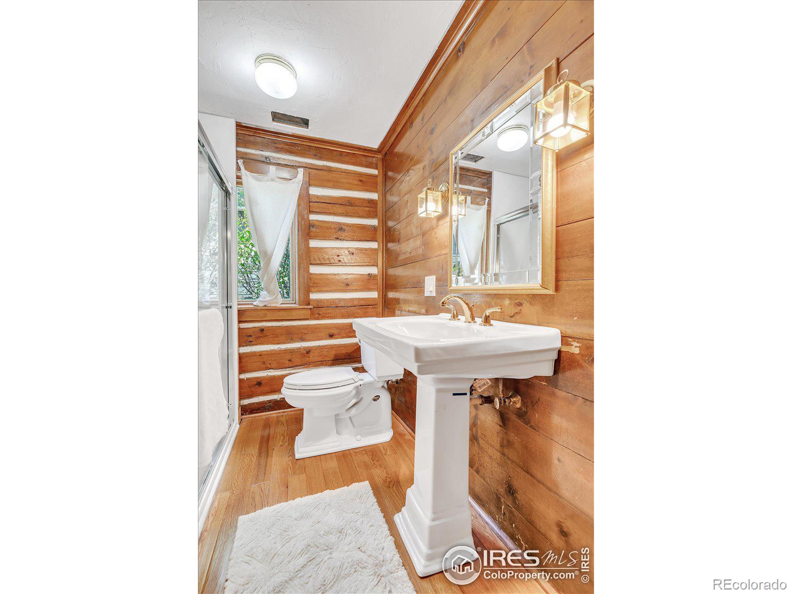 166 1st Street, Nederland, CO 80466, 3 Bedrooms Bedrooms, ,2 BathroomsBathrooms,Residential,For Sale,1st,RECIR1017765