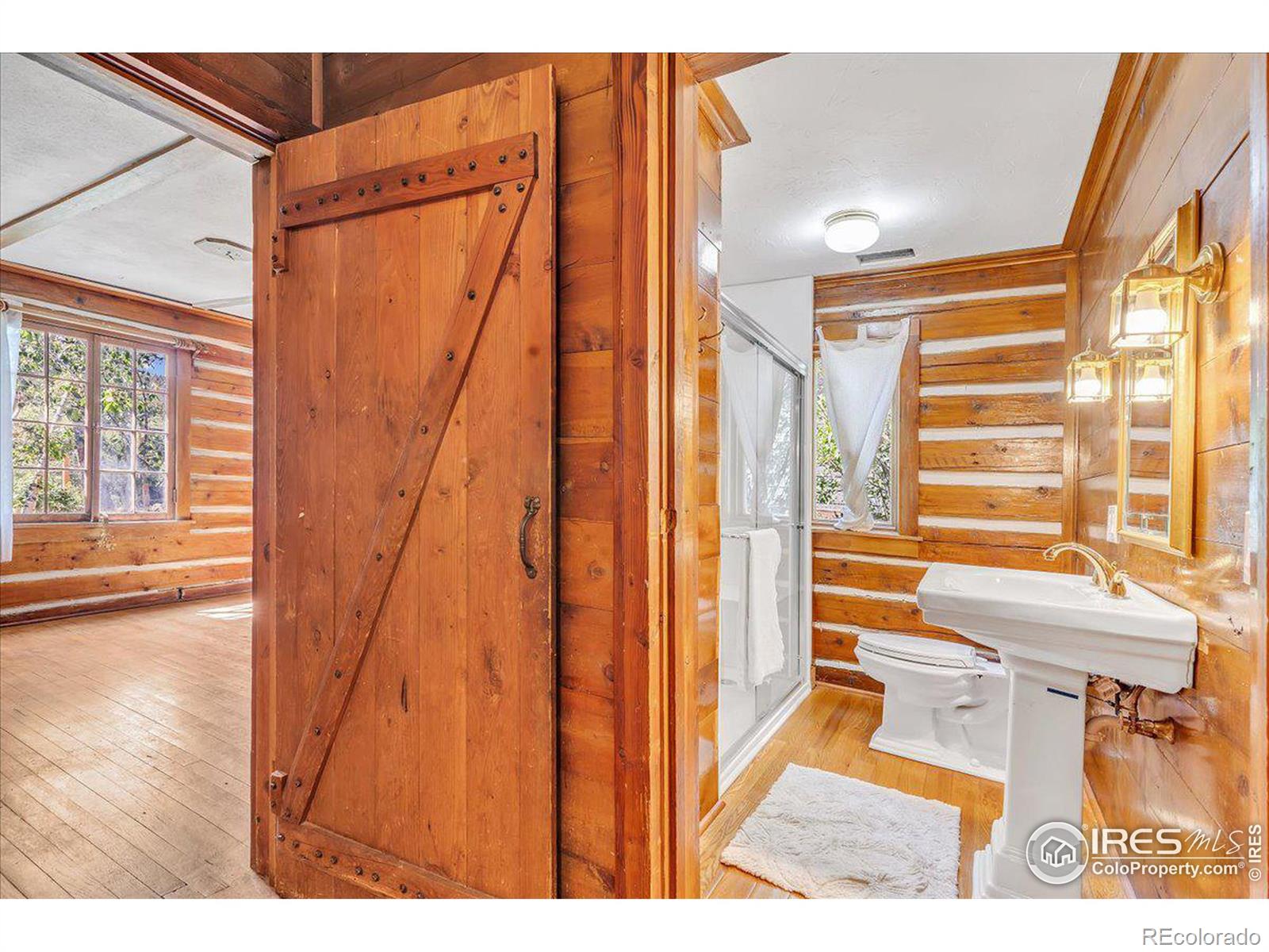 166 1st Street, Nederland, CO 80466, 3 Bedrooms Bedrooms, ,2 BathroomsBathrooms,Residential,For Sale,1st,RECIR1017765