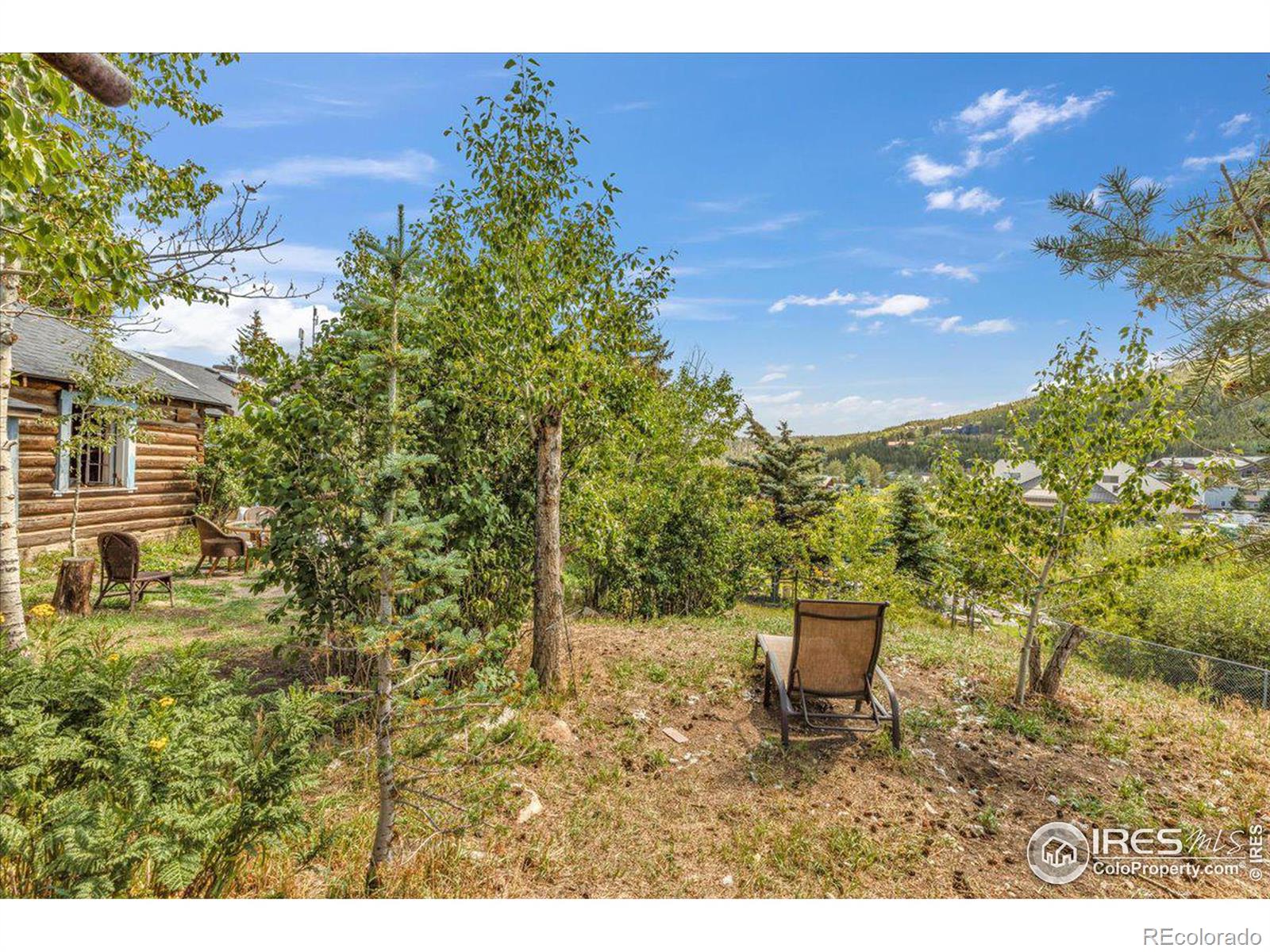 166 1st Street, Nederland, CO 80466, 3 Bedrooms Bedrooms, ,2 BathroomsBathrooms,Residential,For Sale,1st,RECIR1017765