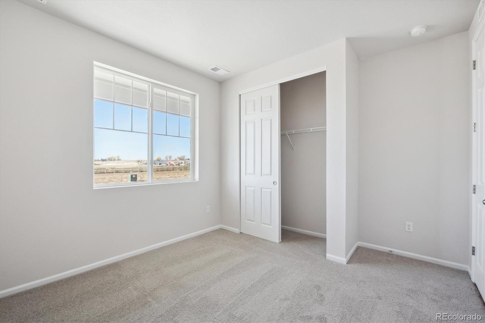 981 Sandhills Street, Windsor, CO 80550, 4 Bedrooms Bedrooms, ,2 BathroomsBathrooms,Residential,For Sale,Sandhills,REC5762735
