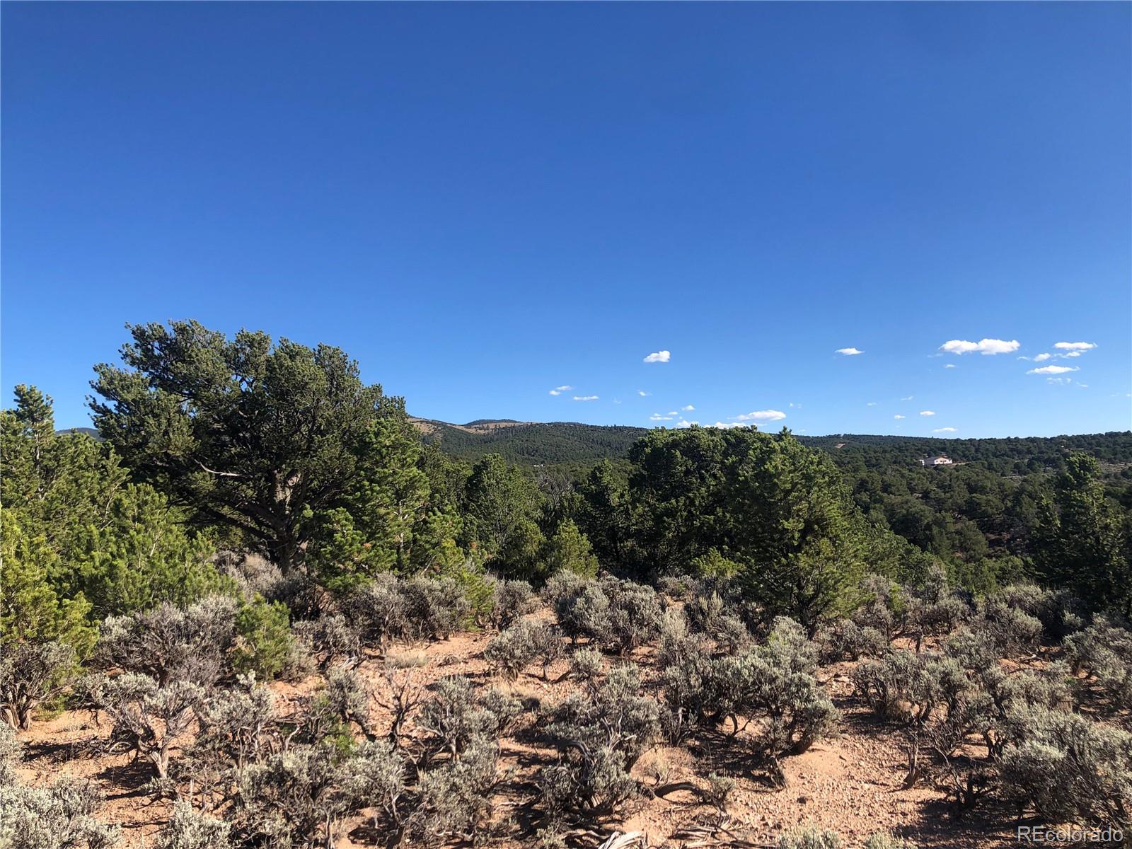 000 Bidwell Road, Fort Garland, CO 81133, ,Land,For Sale,Bidwell,REC5756389