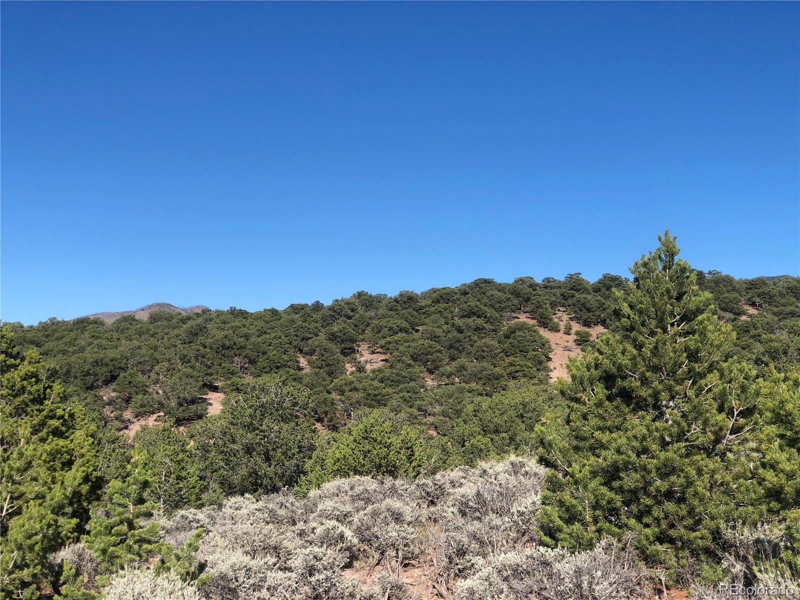 000 Bidwell Road, Fort Garland, CO 81133, ,Land,For Sale,Bidwell,REC5756389