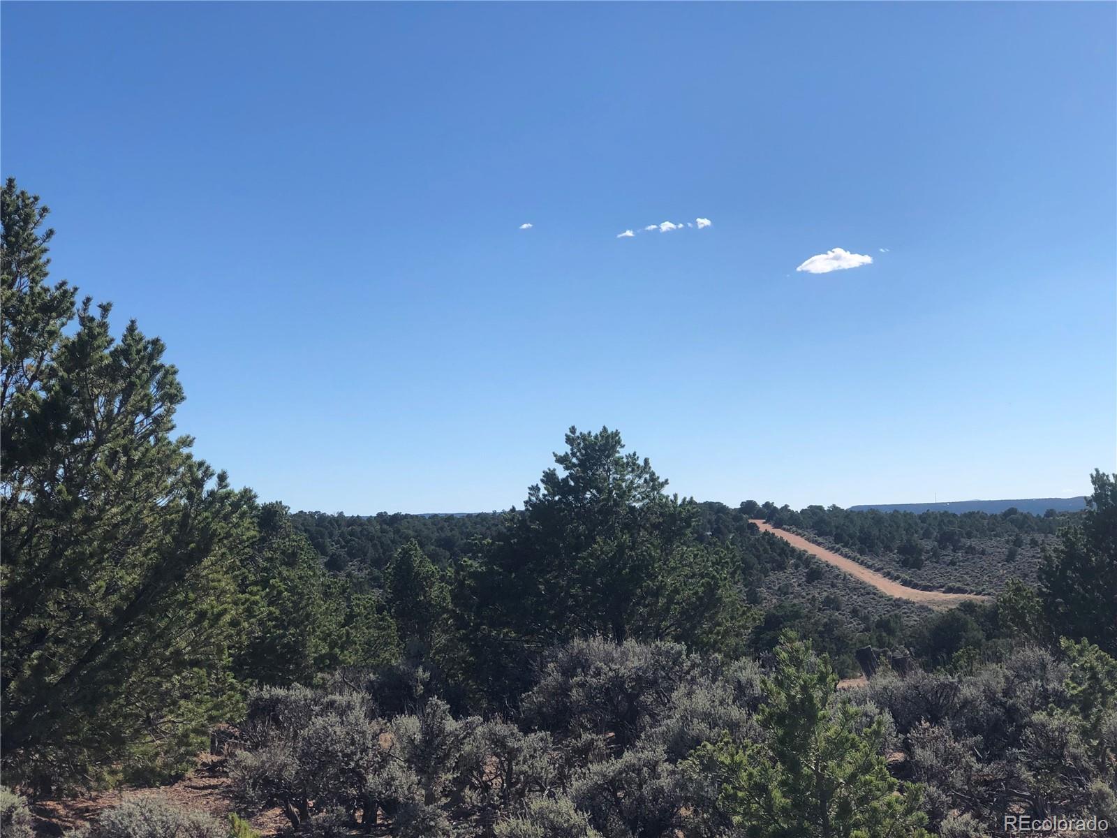 000 Bidwell Road, Fort Garland, CO 81133, ,Land,For Sale,Bidwell,REC5756389