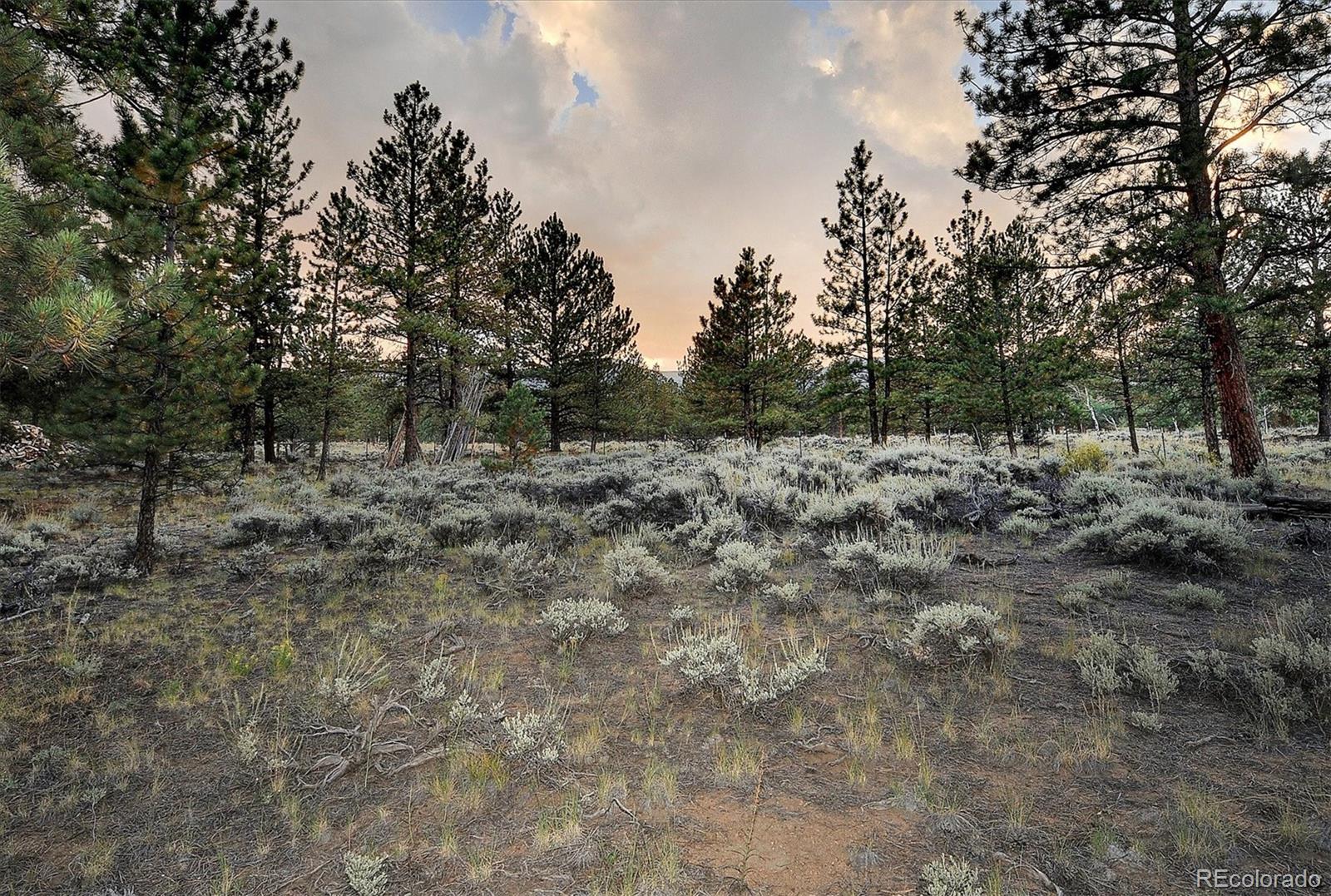 18670 Morrison Creek Circle, Buena Vista, CO 81211, 2 Bedrooms Bedrooms, ,2 BathroomsBathrooms,Residential,For Sale,Morrison Creek,REC4743391