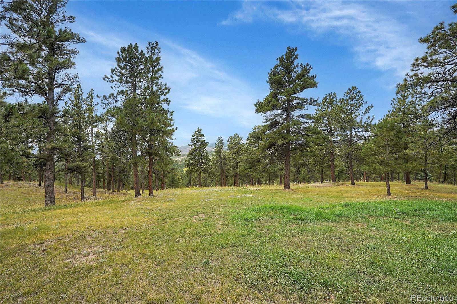 440 La Hermosa Drive, Bellvue, CO 80512, 5 Bedrooms Bedrooms, ,3 BathroomsBathrooms,Residential,For Sale,La Hermosa,REC8448649