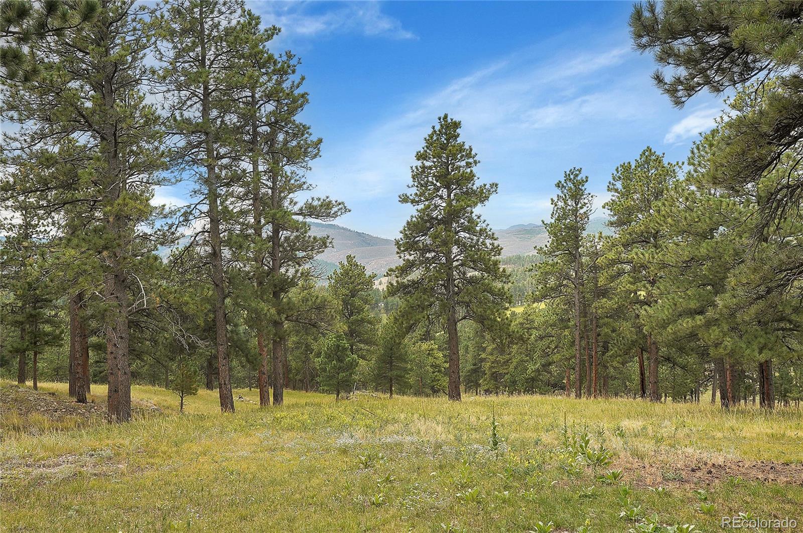 440 La Hermosa Drive, Bellvue, CO 80512, 5 Bedrooms Bedrooms, ,3 BathroomsBathrooms,Residential,For Sale,La Hermosa,REC8448649