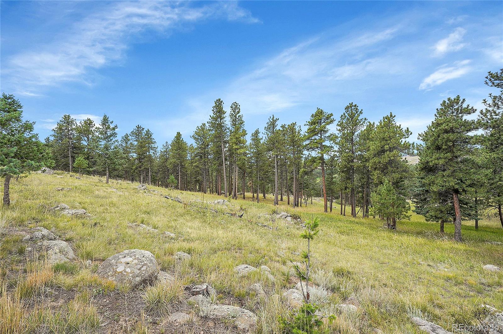440 La Hermosa Drive, Bellvue, CO 80512, 5 Bedrooms Bedrooms, ,3 BathroomsBathrooms,Residential,For Sale,La Hermosa,REC8448649
