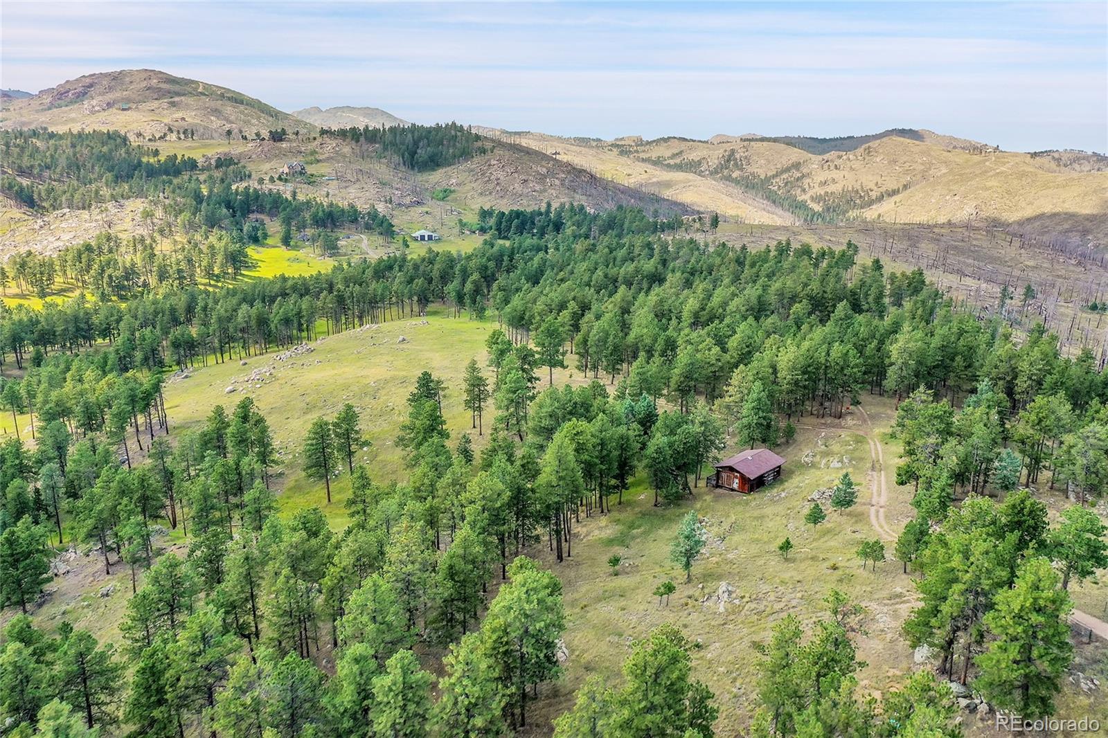 440 La Hermosa Drive, Bellvue, CO 80512, 5 Bedrooms Bedrooms, ,3 BathroomsBathrooms,Residential,For Sale,La Hermosa,REC8448649