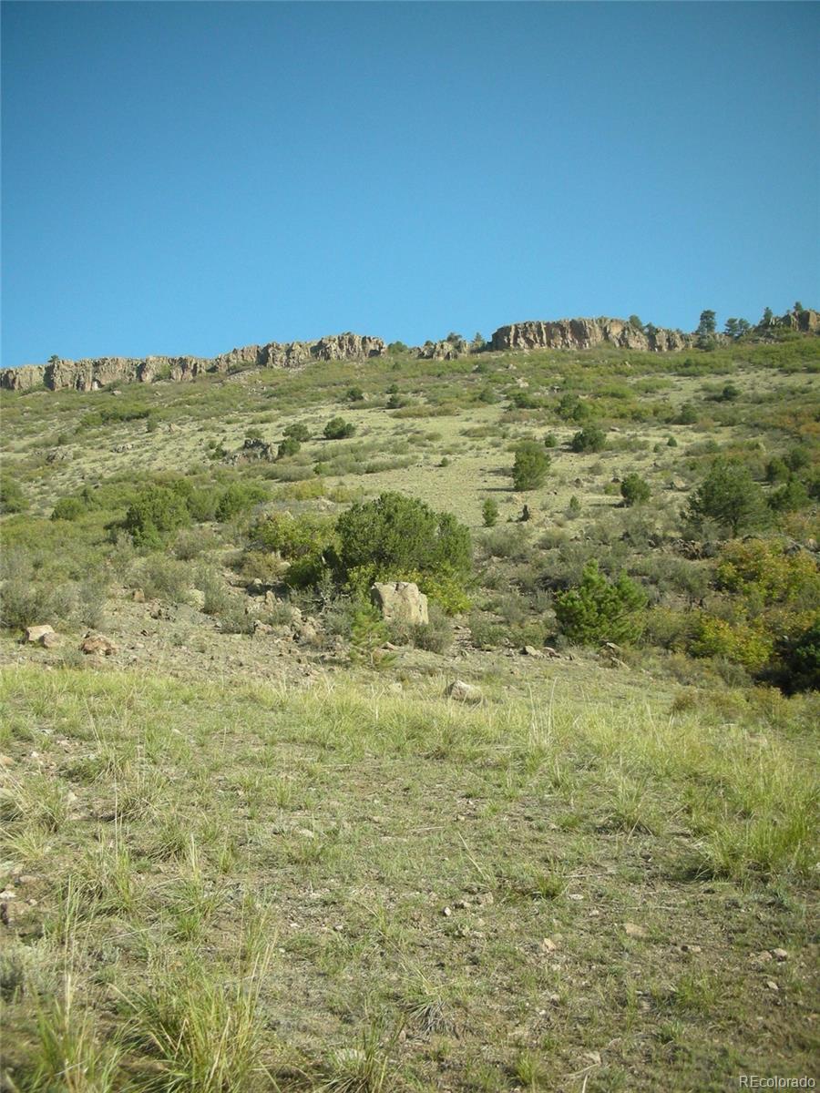 S Tallahassee Trail, Canon City, CO 81212, ,Land,For Sale,Tallahassee,REC1904174