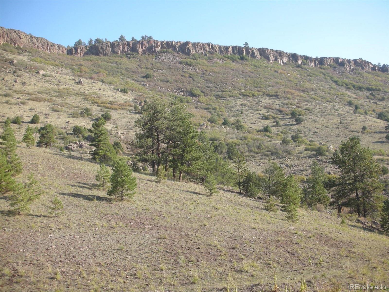 S Tallahassee Trail, Canon City, CO 81212, ,Land,For Sale,Tallahassee,REC1904174