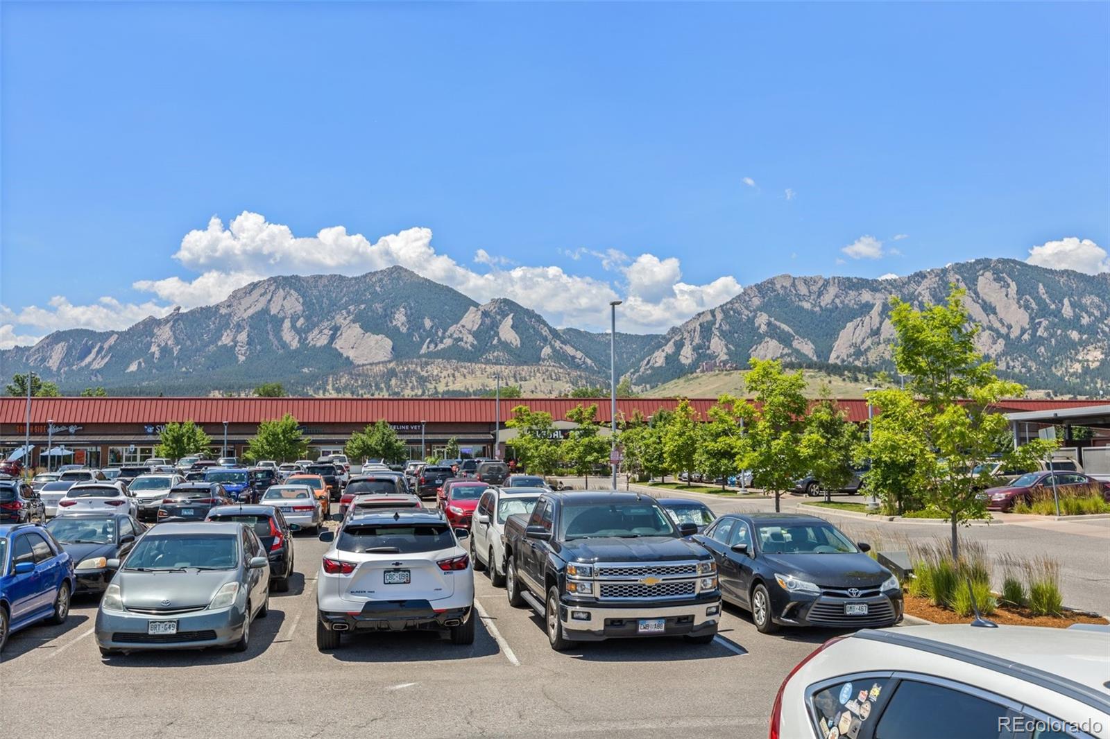 1310 Toedtli Drive, Boulder, CO 80305, 4 Bedrooms Bedrooms, ,3 BathroomsBathrooms,Rental,For Rent,Toedtli,REC4010662