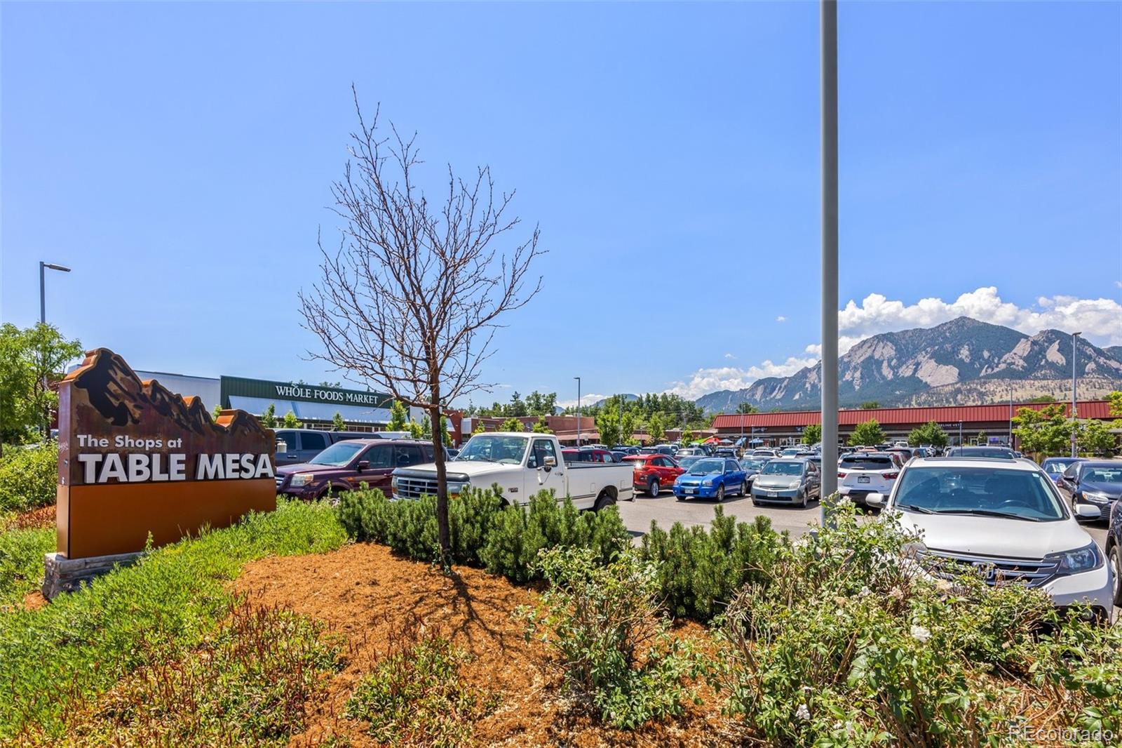 1310 Toedtli Drive, Boulder, CO 80305, 4 Bedrooms Bedrooms, ,3 BathroomsBathrooms,Rental,For Rent,Toedtli,REC4010662