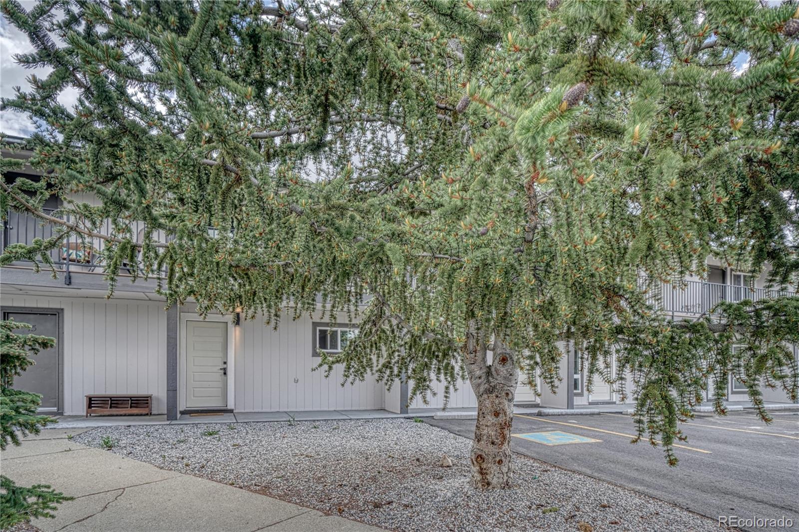 921 Mt Massive Drive #22, Leadville, CO 80461, ,Commercial,For Sale,Mt Massive,REC7834573