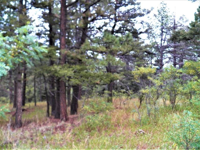 Spanish Peaks Drive, Aguilar, CO 81020, ,Land,For Sale,Spanish Peaks,REC9826145