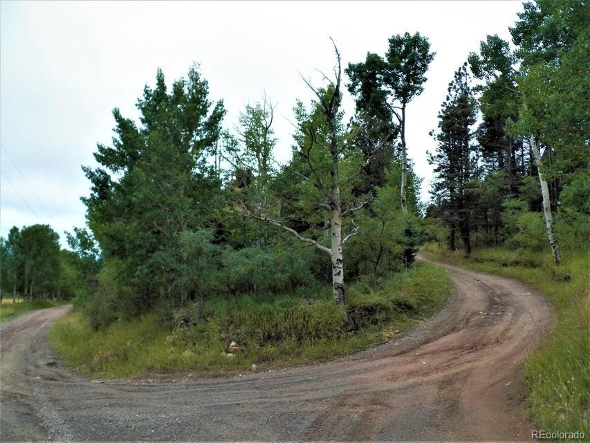 Spanish Peaks Drive, Aguilar, CO 81020, ,Land,For Sale,Spanish Peaks,REC9826145