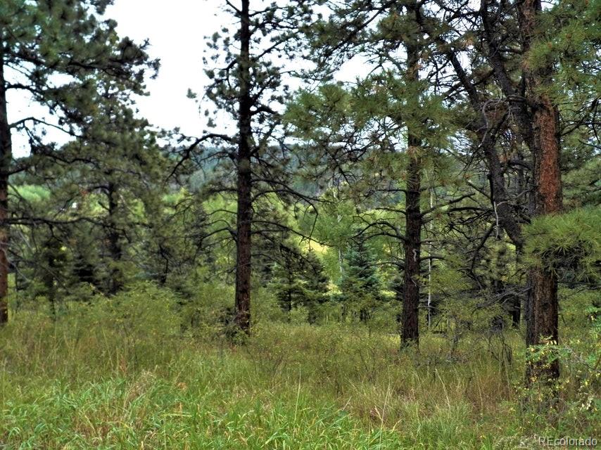 Spanish Peaks Drive, Aguilar, CO 81020, ,Land,For Sale,Spanish Peaks,REC9826145