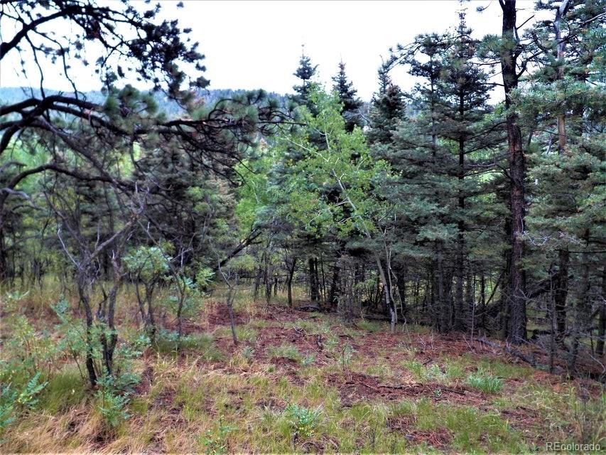 Spanish Peaks Drive, Aguilar, CO 81020, ,Land,For Sale,Spanish Peaks,REC9826145