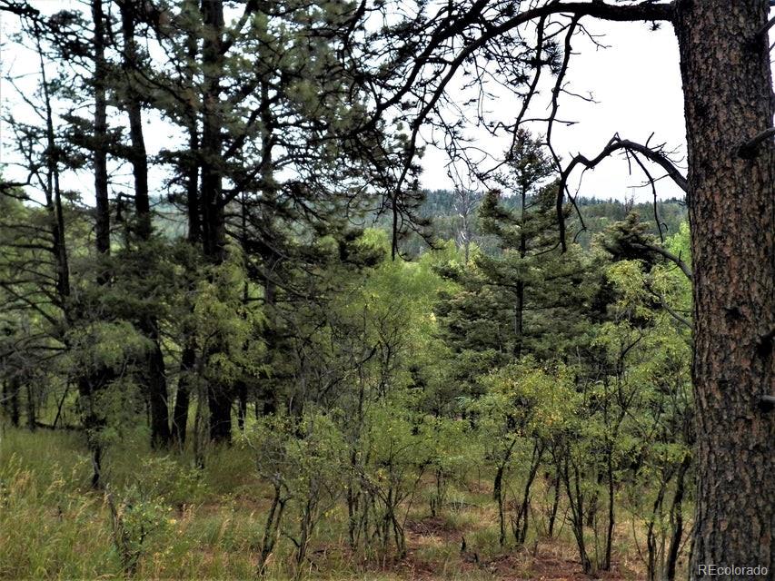 Spanish Peaks Drive, Aguilar, CO 81020, ,Land,For Sale,Spanish Peaks,REC9826145