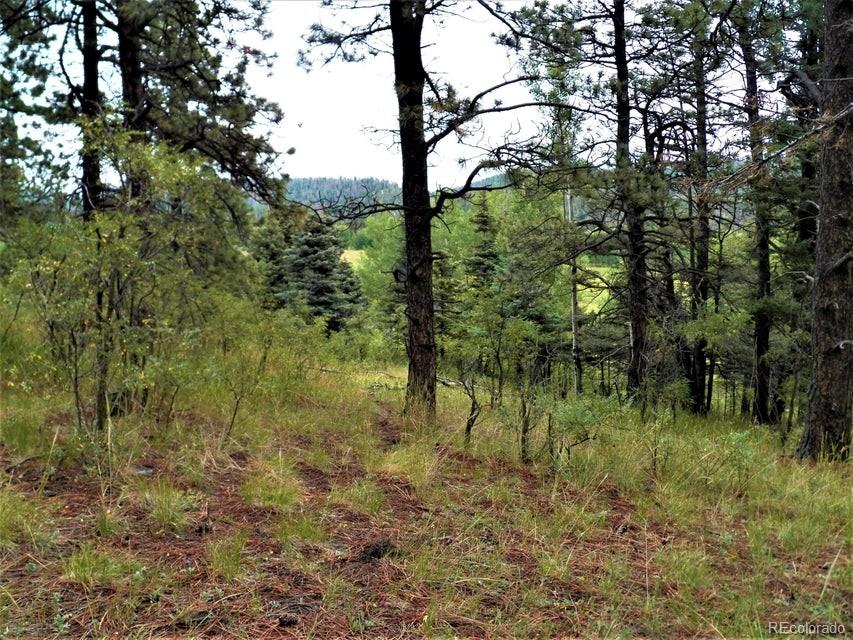 Spanish Peaks Drive, Aguilar, CO 81020, ,Land,For Sale,Spanish Peaks,REC9826145