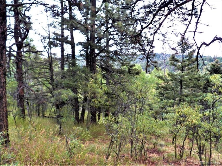 Spanish Peaks Drive, Aguilar, CO 81020, ,Land,For Sale,Spanish Peaks,REC9826145