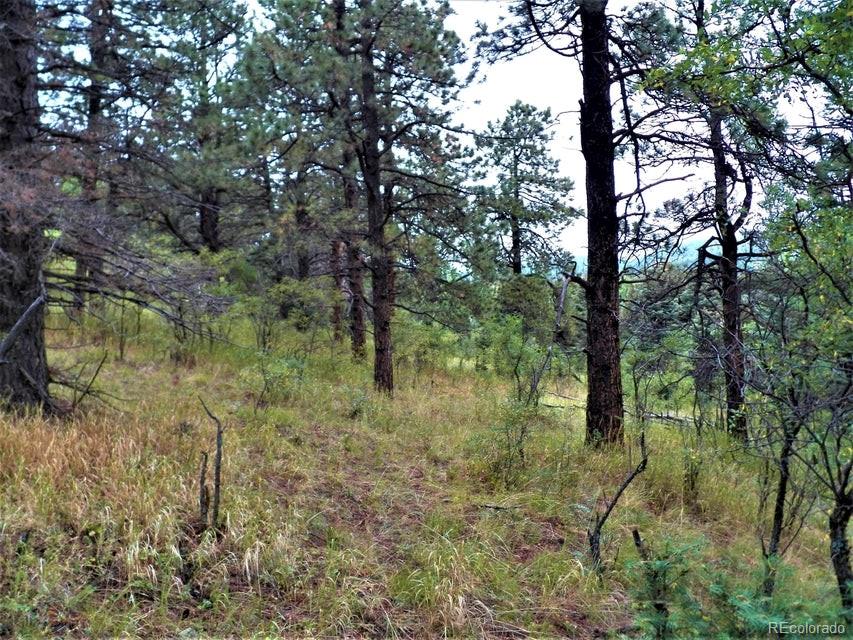 Spanish Peaks Drive, Aguilar, CO 81020, ,Land,For Sale,Spanish Peaks,REC9826145