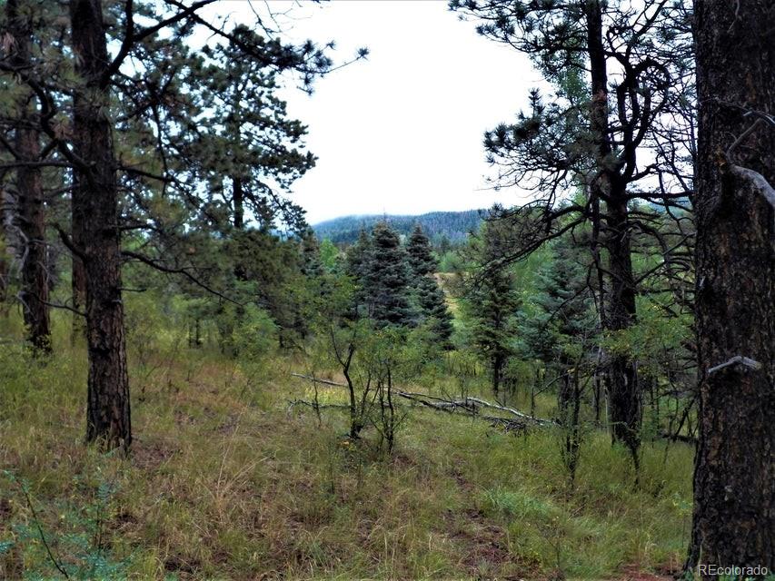 Spanish Peaks Drive, Aguilar, CO 81020, ,Land,For Sale,Spanish Peaks,REC9826145
