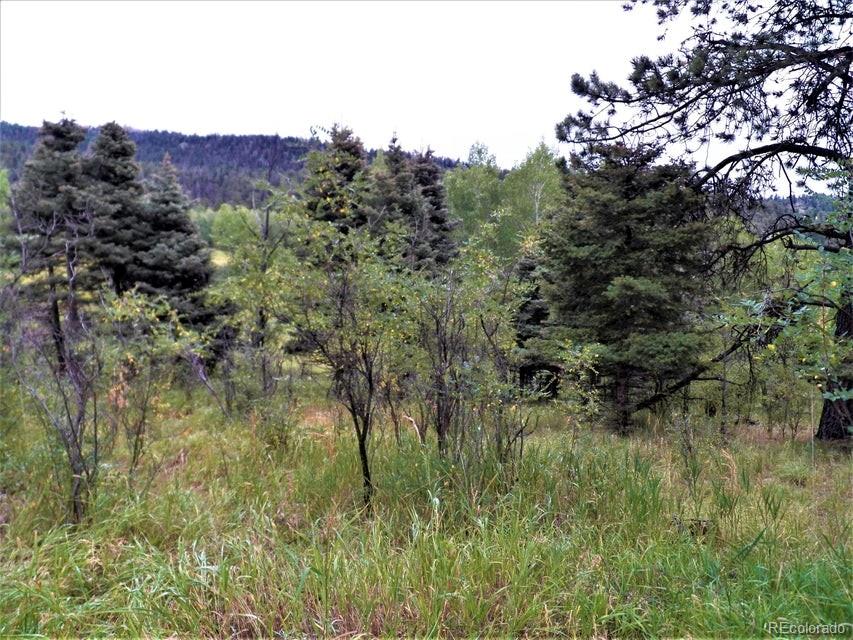 Spanish Peaks Drive, Aguilar, CO 81020, ,Land,For Sale,Spanish Peaks,REC9826145