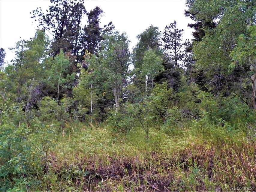 Spanish Peaks Drive, Aguilar, CO 81020, ,Land,For Sale,Spanish Peaks,REC9826145