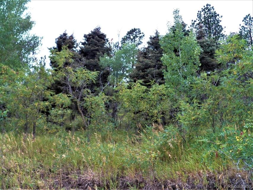 Spanish Peaks Drive, Aguilar, CO 81020, ,Land,For Sale,Spanish Peaks,REC9826145