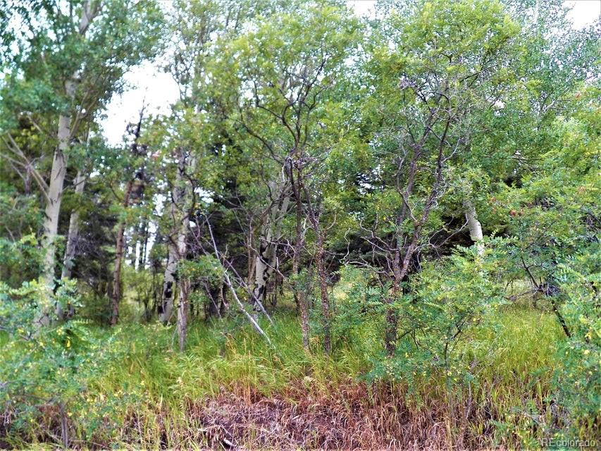 Spanish Peaks Drive, Aguilar, CO 81020, ,Land,For Sale,Spanish Peaks,REC9826145
