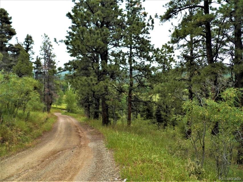 Spanish Peaks Drive, Aguilar, CO 81020, ,Land,For Sale,Spanish Peaks,REC9826145