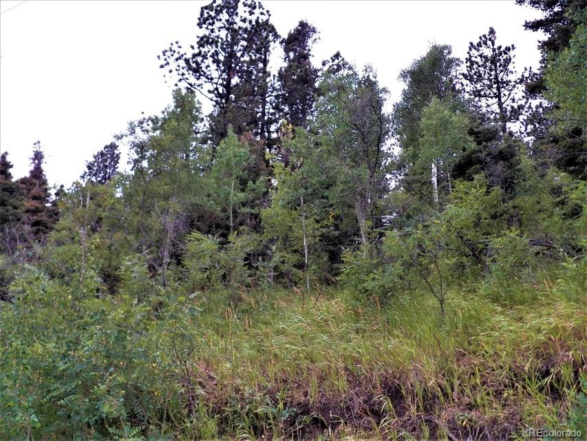 Spanish Peaks Drive, Aguilar, CO 81020, ,Land,For Sale,Spanish Peaks,REC9826145